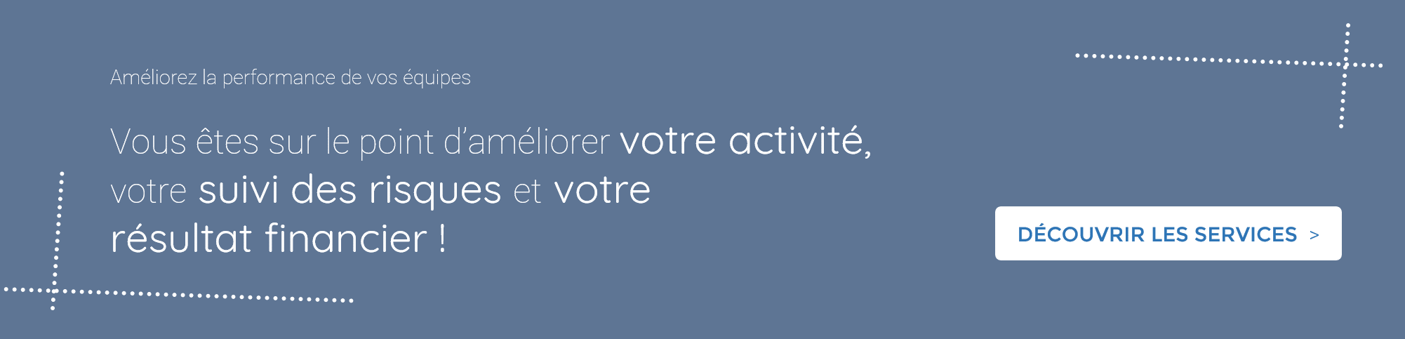 Les services experts