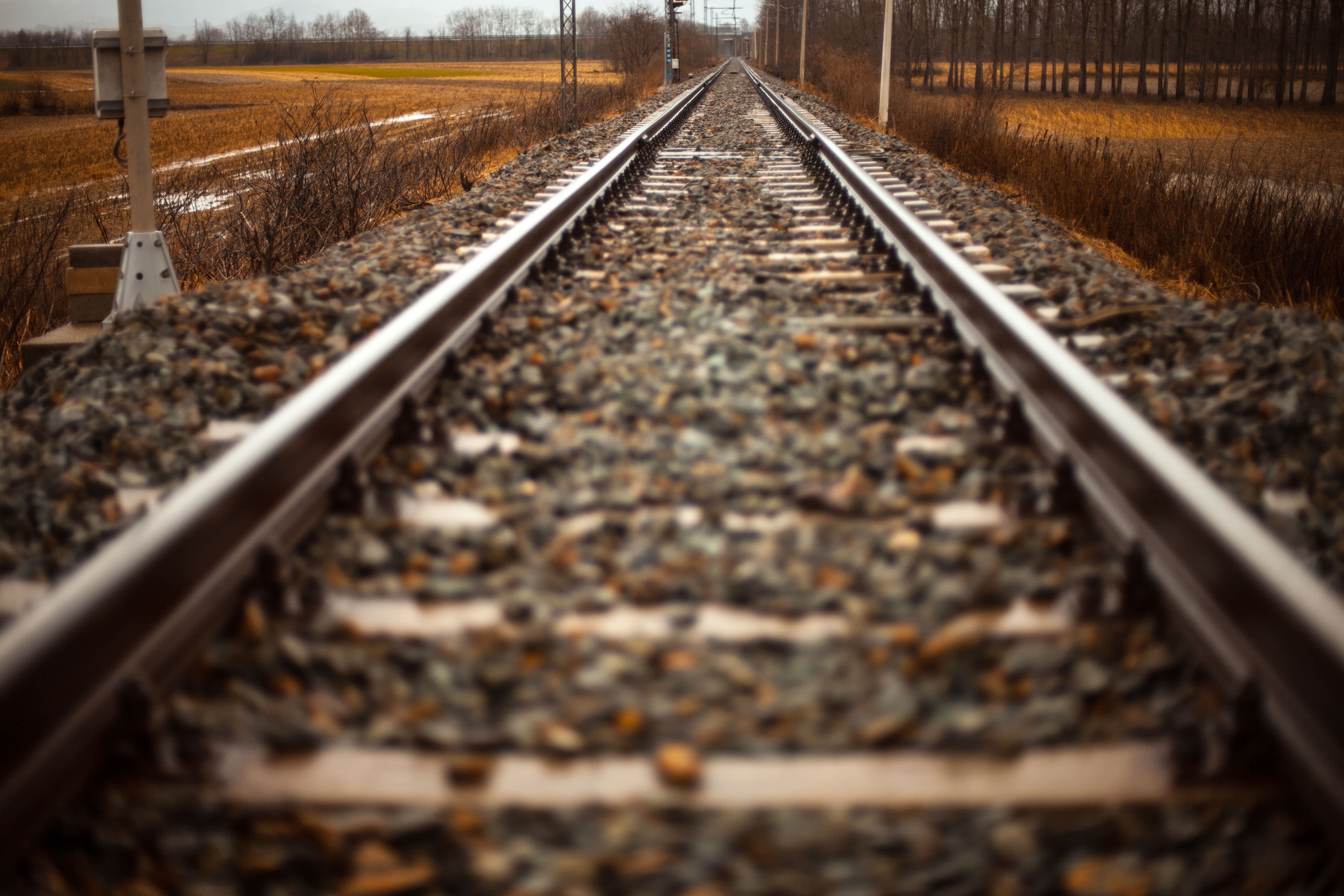 rails-train-path-straight@2x-1